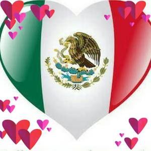 Meet your Posher, Alma